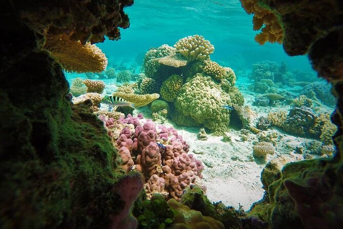 Reef Discovery Private Treasure Hunt - Stop one: getting children interested in the reef