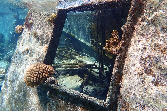 Reef Discovery Private Treasure Hunt - Coral gardens and fish gardens