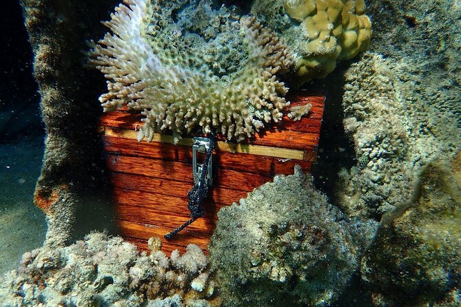 Reef Discovery Private Treasure Hunt - A private boat changes the family experience