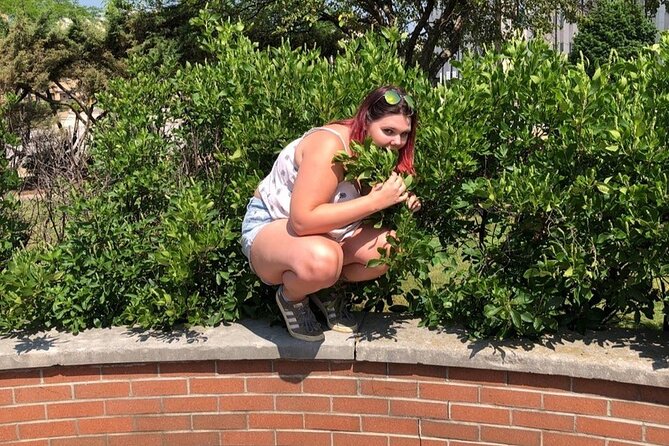 Scavenger Hunt in Gatlinburg by Zombie Scavengers - Zombie challenges that change the pace