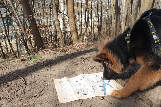 Scavenger Hunt in Gdańsk, Poland - Finding hidden envelopes around the city