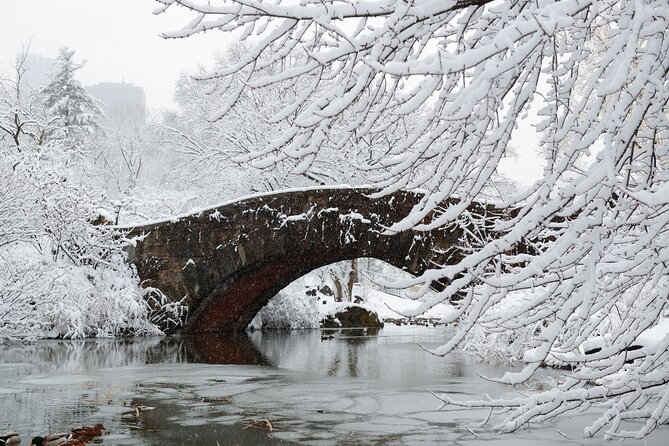 Self Guided Central Park Scavenger Hunt - Delacorte Theater and Central Park’s performance side