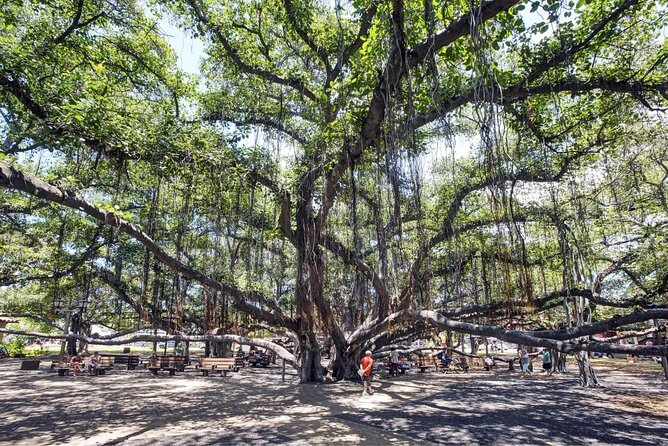 Self-Guided Scavenger Hunt: Lahaina Over The Rainbow - Key Points At A Glance