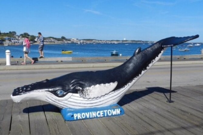 Self-Guided Scavenger Hunt: The Crown Jewel of Cape Cod - Key points to know before you start