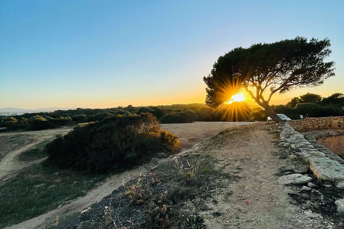 Self-guided Walking Tour and Outdoor Escape Game in Cala Millor, in German - How the smartphone route works