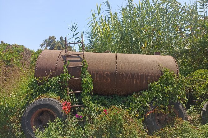 Todos Santos Treasure Hunt - A Puzzle Walk Through Todos Santos