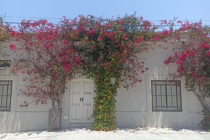Todos Santos Treasure Hunt - What You Actually See Along the Way