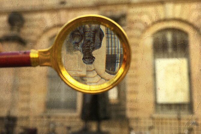 Urban Escape Game: In search of Goya's skull - Weather, timing, and practical planning