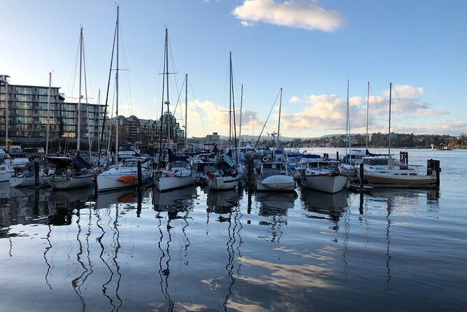 Victoria Scavenger Hunt and City Highlights Walking Tour - Price and value at $15.93